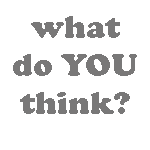 Troy MWA Services Survey